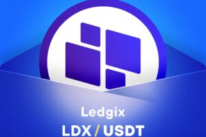 What is Ledgix – A Payment Ecosystem Deployed on BNB (LDX)