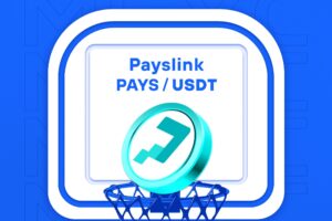 What is Payslink – All-In-One Solution For Financing and Payment (PAYS)