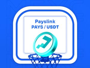 What is Payslink - All-In-One Solution For Financing and Payment (PAYS)