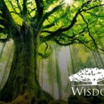 WisdomTree's Strategic Growth: From IPO to Bitcoin ETF Approval by SEC