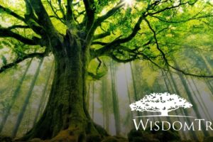 WisdomTree’s Strategic Growth: From IPO to Bitcoin ETF Approval by SEC