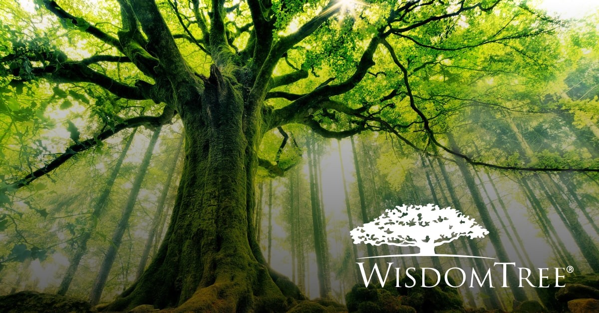 WisdomTree’s Strategic Growth: From IPO to Bitcoin ETF Approval by SEC