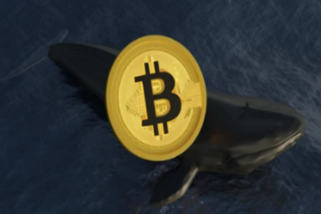 Bitcoin Price Stays Strong Despite Whale Selling