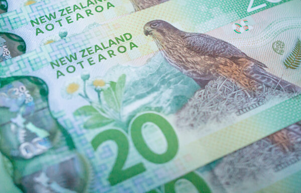 New Zealand Opens Consultation on Digital Cash