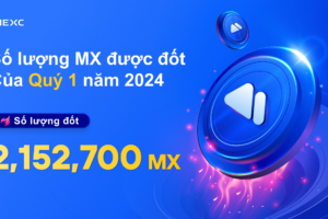 Việc mua lại và đốt MX Quý 1 năm 2024 đã hoàn thành!