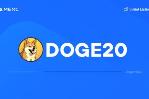 What is Dogecoin20 – A New Doge Coin For On-Chain Staking (DOGE20)