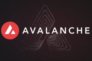 Tokenized Wine Investment Fund Drives Avalanche (AVAX) Price Up By 8%