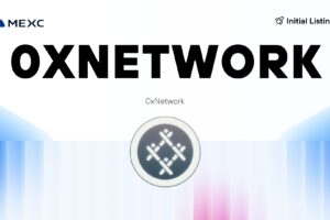 What is 0xNetwork – A Secure, Decentralized decentralized P2P VPN Network (0XNETWORK)