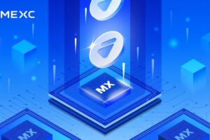 Exploring the Potential of MX Token