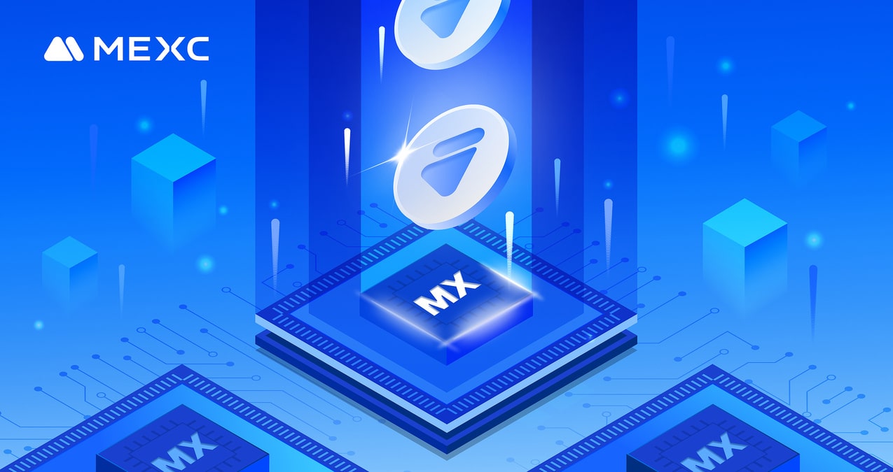 Exploring the Potential of MX Token