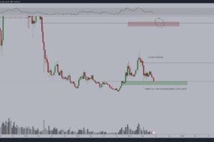 Polkadot’s Market Struggles vs. Ecosystem Progress: An Insightful Analysis