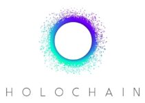 Що таке Holochain: розробка Dapps без блокчейну (HOT)