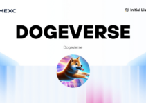What is Dogeverse – The World’s First Multi-chain Meme Coin