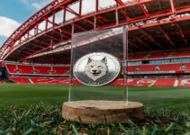 Nottingham Forest’s New Crypto Partner Floki: A Strategic Move or Risky Bet?