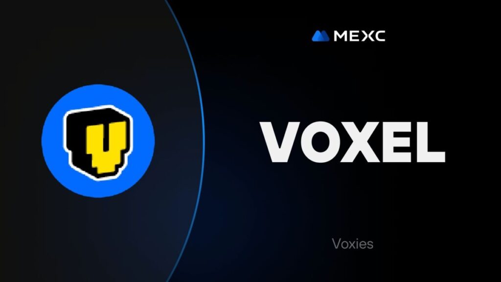 What is Voxie Tactics (VOXEL)