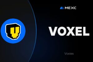 What is Voxie Tactics (VOXEL)