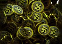 Bitcoin’s Surge Mirrors Rise of BNB-Chain’s New Value Token