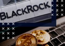 BlackRock’s Quiet Prep for a $35 Trillion Dollar Crisis and Bitcoin’s Market Impact