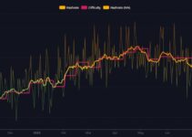 Bitcoin Network Reaches Record Hash Rate Amid Price Stability