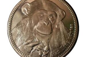 Empowering Conservation: The Impact of Chimpzee Coin 