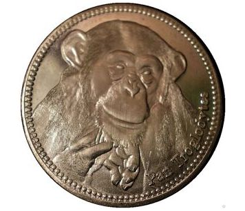 Empowering Conservation: The Impact of Chimpzee Coin 