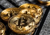 BlackRock’s Bitcoin ETF Options Get SEC Approval on ‘Accelerated Basis’