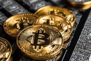 BlackRock’s Bitcoin ETF Options Get SEC Approval on ‘Accelerated Basis’