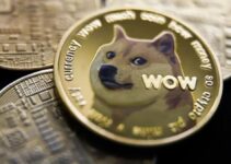 From Memecoins to Market Movers: How Shiba Inu, PEPE, and Toncoin are Shaping the Future of Crypto