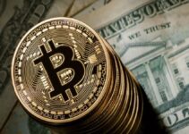 Bitcoin ETFs – The Investment Surge Changing the Game