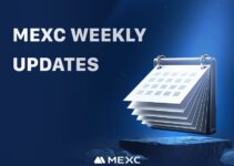 MEXC Hot Coins Recap For This Week: Meme Coin Madness And Market Buzz