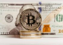 Bitcoin Price Prediction: Why BTC Plunged and Where to Stop?