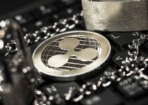 リップル(XRP)とは？特徴・仕組み・将来性を解説【2025年最新動向】