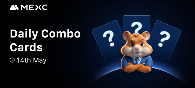 Today’s Hamster Kombat Daily Combo: GameDev for May 14, 2025