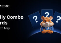 Today’s Hamster Kombat Daily Combo: GameDev for May 12, 2025