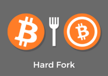 Hardfork və softfork: bu nədir və nə ilə fərqlənirlər?