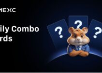 Today’s Hamster Kombat Daily Combo: GameDev for May 12, 2025