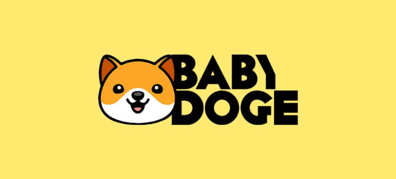 什么是 Baby Doge Coin？完整的初学者指南 – 价格、如何购买及投资分析