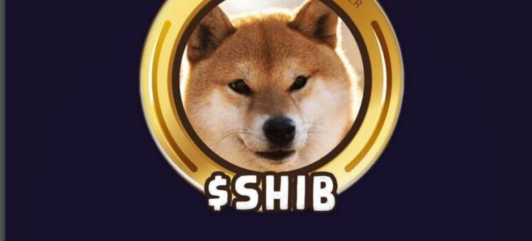 Что такое Shiba Inu (SHIB)? Как купить, прогнозы цен и всё, что нужно знать новичкам