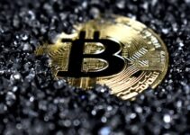 Minería de Bitcoin: La Tecnología Detrás de Bitcoin