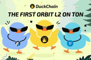 Duckchain (Duck) Là Gì? Giải Pháp Layer 2 Đầu Tiên Trên TON