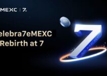 Siedem Lat Odnowy: MEXC Odrodzone na Poziomie Komórkowym, Kurs na Nowe Horyzonty: MEXC Rozpoczyna Kolejną Siedmioletnią Podróż