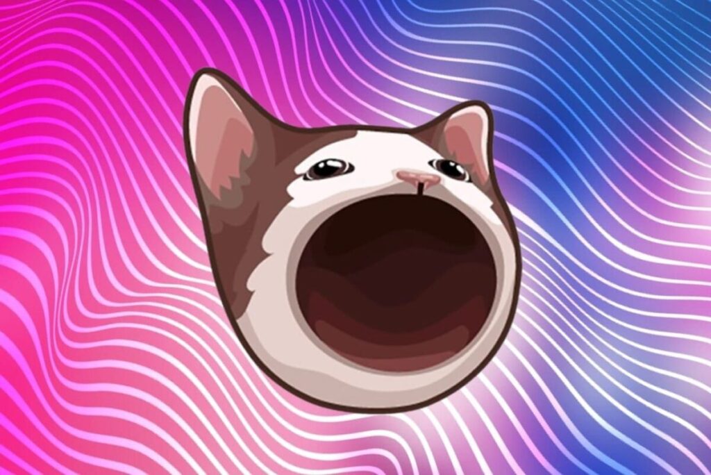Мем Popcat превратился в криптовалюту
