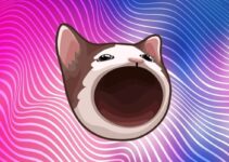 Popcat Криптовалюта — Что за монета? Обзор