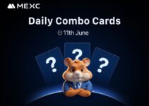 Today’s Hamster Kombat Daily Combo Cards Answer – June 11, 2025