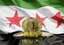 シリアのクリプト（2025）：経済的破壊の中のデジタルライフライン