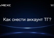 Как снести аккаунт ТГ?