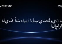 كيف أتداول البيتكوين في الإمارات؟