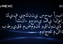 كيف يمكنني سحب أرباحي أثناء وجودي في الإمارات بطريقة مضمونة وقانونية دون مواجهة مشاكل؟
