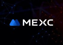 MEXC MT5: Как подключить?