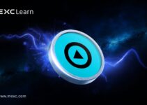 什么是ZeroBase？以零知识证明重塑Web3隐私新范式